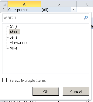 Excel Pivot Table, report filter selection options