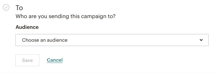 Mailchimp define audience for email campaign | Learn Mailchimp with Five Minute Lessons